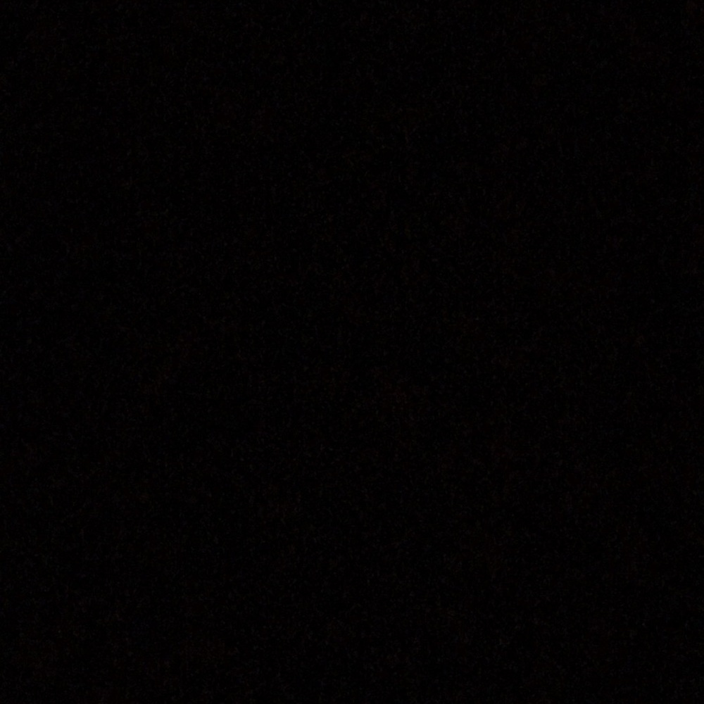 Meet your Posher, Bella